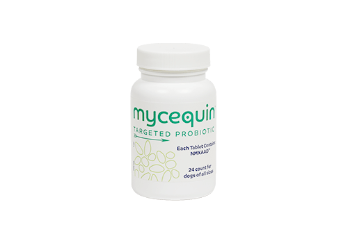 Mycequin® Targeted Probiotic Supplement for Dogs