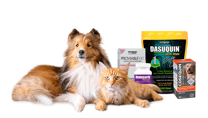 Nutramax Laboratories' Pet Products Sitting alongside Dog and Cat