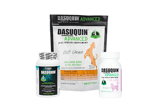 Dasuquin® Joint Health Supplement for Cats and Dogs