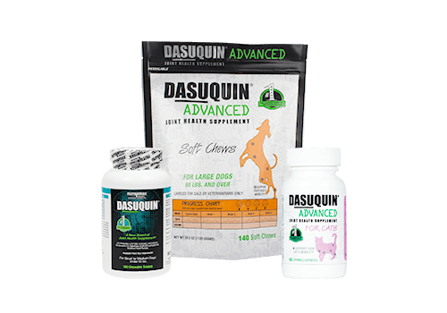 dasuquin nutramax