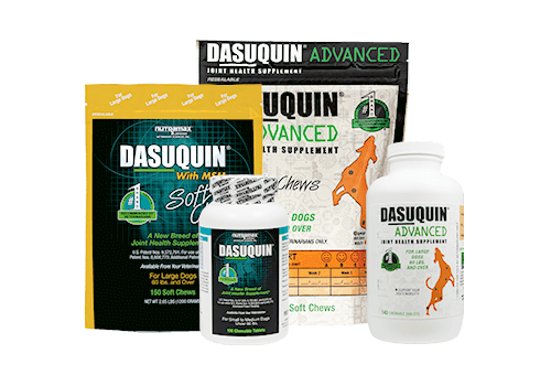 Dasuquin® Joint Health Supplement for Dogs