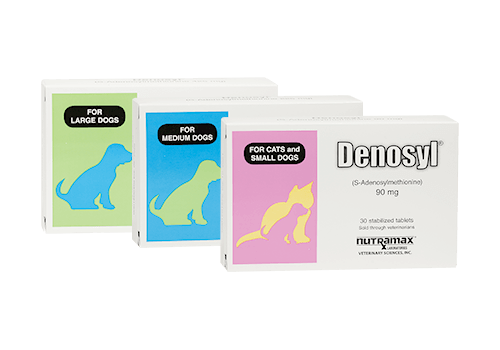 Denosyl® Liver Health Supplement for Dogs