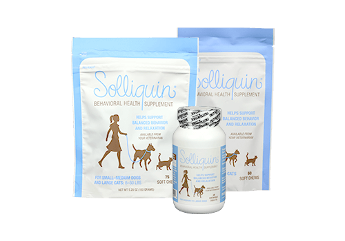 Solliquin® Behavior Supplement for Dogs