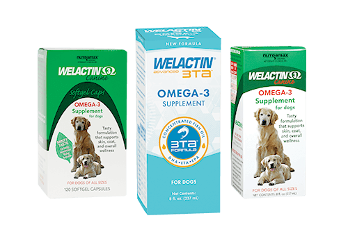 nutramax welactin for dogs