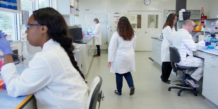 Employees Working in Lab