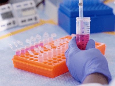 Laboratory Employee Testing Ingredients