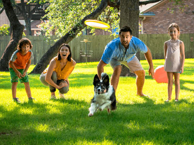 Family Playing in Yard with Dog
