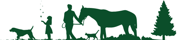 Silhouette of family outside with dog, cat and horse